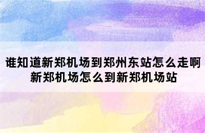 谁知道新郑机场到郑州东站怎么走啊 新郑机场怎么到新郑机场站